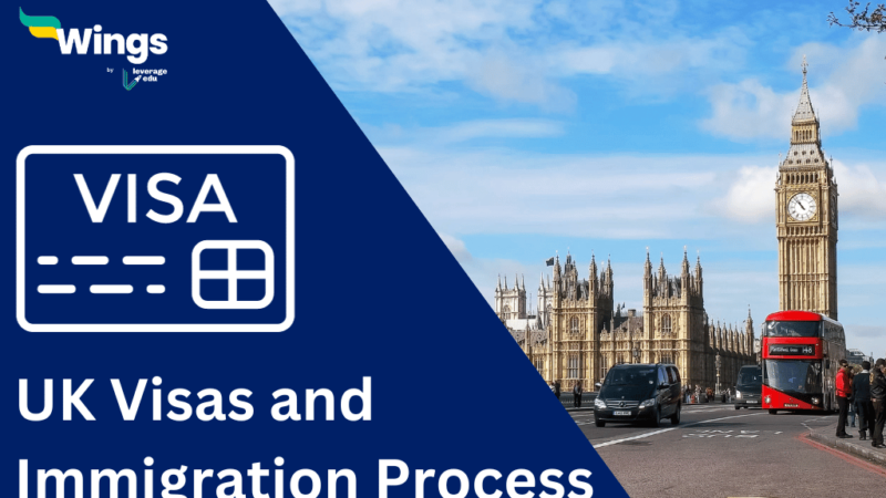 Navigating the Indian Visa Process: A Comprehensive Guide for Citizens of Argentina and Belgium