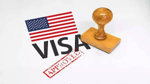 US Work Visa Options Explained